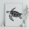 Sea Turtle Decal In SVG, PNG, PDF And DXF File Formats