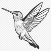 Beautiful Bird Vector Craft File - Free SVG Download