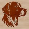 Beautiful Golden Companion Clip Art A detailed illustration of a golden retriever's head, suitable for vector design and cut-out projects.