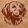 Detailed Dog Head Vector Artwork A detailed illustration of a friendly dog's head with a thick golden coat.