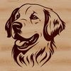 Golden Retriever Face Illustration An illustration of a golden retriever's head, suitable for vector art and digital cutting.