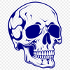 Gothic Horror Illustration A detailed illustration of a skull with dripping, gothic-style details.