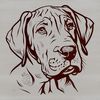 Detailed Dog Illustration Vector Art A high-quality digital illustration of a large breed dog, specifically a Great Dane, with detailed anatomy.