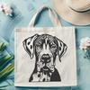 Distinctive Headlines - Large Dog Breed Characteristic Large domestic dog breed, specifically the Great Dane, with its distinctive head shape and features.