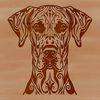 Majestic Dog Breed Portrait A regal Great Dane with an ornate head, suitable for various uses including vector design and clip art.
