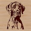 A detailed illustration of the head of a Great Dane breed dog.