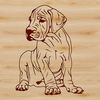 Sitting Great Dane Breed Illustration A sitting Great Dane dog breed illustration suitable for pet owners and enthusiasts.