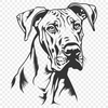 Artistic Great Dane Drawing