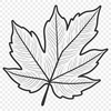 Vector Green Leaf Illustration A green leaf with veins and edges, designed as a vector graphic.