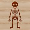 A standing human skeleton made up of bony segments in a vector format, suitable for various digital applications.