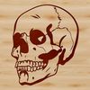 Free Vector Art Skull Icon A detailed illustration of a skull, ideal for graphic design projects and crafters.