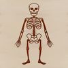 Interconnected Skeleton Figure SVG A free-standing skeleton figure made from interconnected bones, available in high-resolution SVG format.