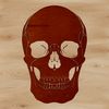A detailed illustration of a skull in silhouette form, suitable for various creative projects.