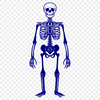 Free Unique Skeleton Artwork DXF - Commercial Use