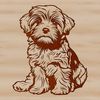 Havanese Dog Breed Portrait Vector Image A sitting Havanese dog breed portrait in vector format.
