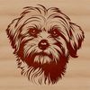 Small Breed Canine Close-up Face Illustration Close-up portrait of a small Havanese dog's head with calm facial expression.