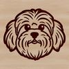 A simple line drawing of a Havanese dog's head, created as vector art.