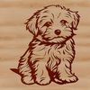 Cute White Dog Silhouette A small, fluffy white dog with long fur sitting on its haunches.