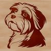 Fluffy Havanese Dog Illustration A high-quality illustration of a small, fluffy dog with a distinctive head shape.