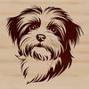 A high-quality digital illustration of a Havanese dog's head, suitable for use as a clip art element in various designs.