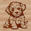 A digital illustration of a sitting Havanese dog breed.