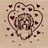 Havanese dog illustration with love hearts on its head, suitable for vector art projects.