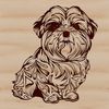 A vector illustration of a sitting Havanese dog with ornate details.