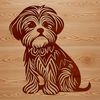 Small Breed Dog Illustration Vector Image of a sitting Havanese dog, a popular small breed animal often kept as a pet.