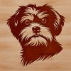 Havanese Dog Breed Portrait A small dog breed with a long coat and curly fur, standing on its hind legs.
