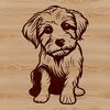 A sitting havanese dog breed illustration in vector format.