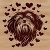 Havanese Dog Face with Love Hearts Close-up illustration of a Havanese dog's head with love hearts surrounding the face.