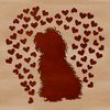 Havanese Dog Breed with Heart Surroundings A small white dog breed with a gentle expression, surrounded by heart symbols.