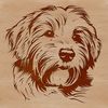 A cute havanese dog breed illustration with detailed head features.