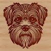 Fluffy Havanese Dog Portrait A portrait of a small, fluffy Havanese dog with a sweet expression.