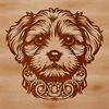 A stylized illustration of a Havanese dog's head, created with vector lines for easy editing.