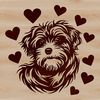 Adorable Havanese dog breed illustration with love hearts in various colors