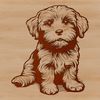Fluffy Canine Companion Icon A small, fluffy dog breed sitting in a relaxed position.