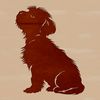 Fluffy Havanese Portrait A small, fluffy dog breed with a curly coat, sitting on its hind legs.