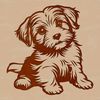 A small, fluffy white dog with long hair sitting on its hind legs.