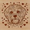 Cute Havanese Face Illustration A detailed illustration of a Havanese dog's head, suitable for vector graphics and design projects.