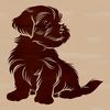 A small, fluffy Havanese dog sitting on its hind legs, making it easy to identify the breed.