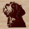 A small, fluffy dog breed with a rounded head and sweet expression.