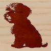 Fluffy Havanese Sitting Pretty A small, fluffy white dog with brown eyes and ears sits on its haunches.