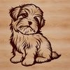 Havanese Breed Profile Icon A small breed dog with silky fur and a curly coat, sitting on its hind legs.