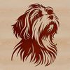 Beautiful Havanese Portrait SVG Illustrated portrait of a Havanese dog with details on its head.
