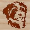 Free Downloadable Cute Dog Vector Image A cute, small dog breed with a fluffy coat and sweet expression.