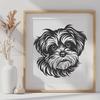 An SVG vector graphic of a Havanese breed dog's face, suitable for design projects.