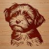 Friendly Face SVG Template An isolated graphic of a Havanese dog's face, available as an SVG file for cutting machine templates and digital designs.