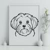 Havanese In DXFs - Free Commercial Use License