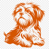 Free Sitting Havanese PNG